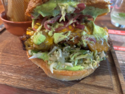 Burger Trop Jelenia w Indian Steak